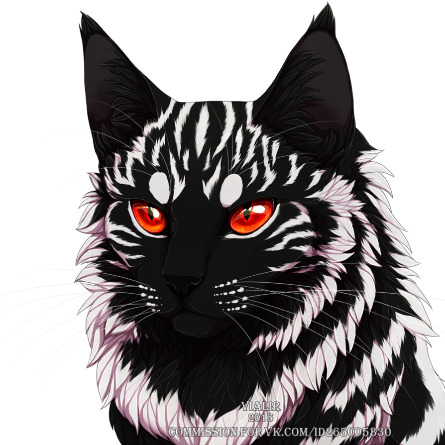 Коты Воители черный полосатый кот