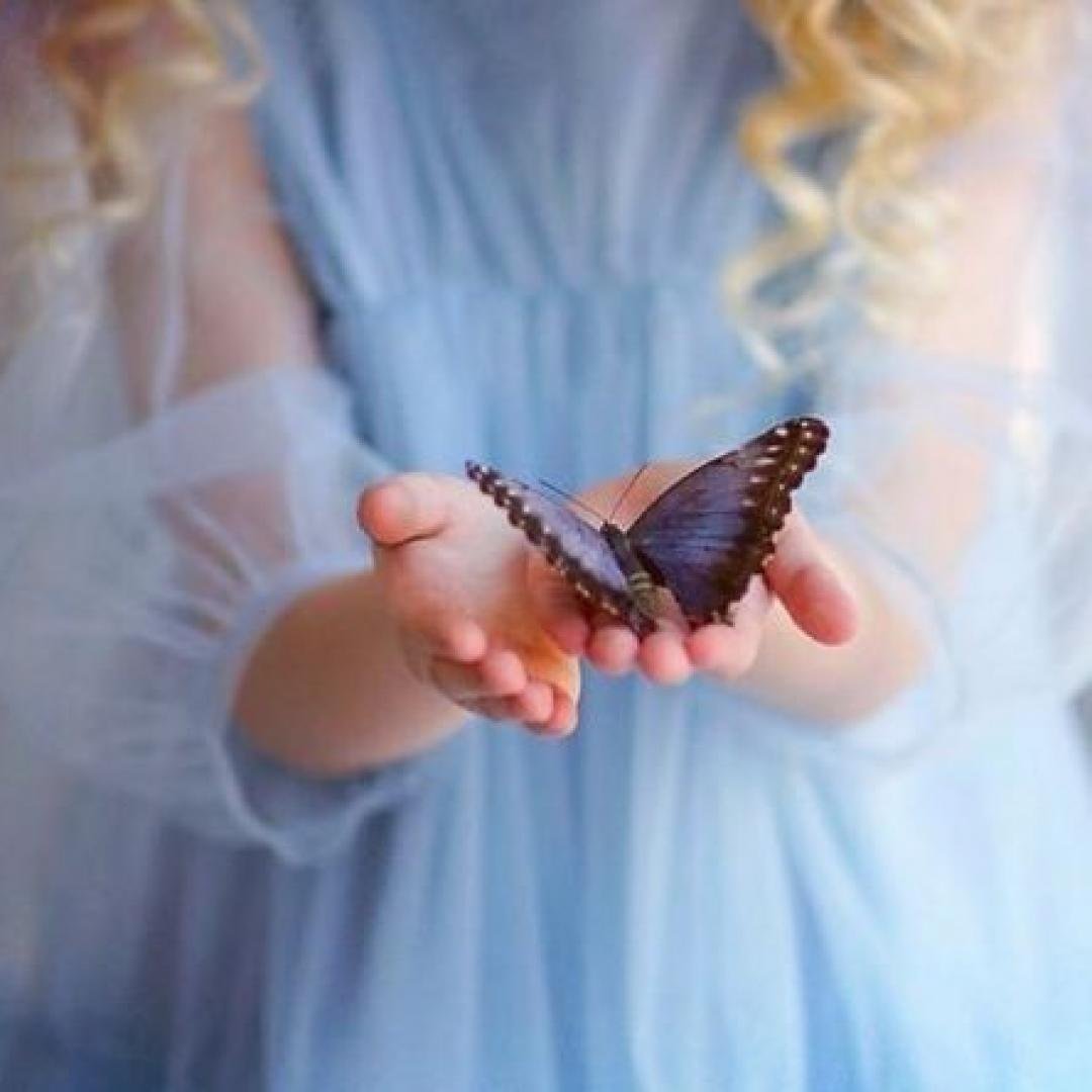 Бабочка Блэк видок