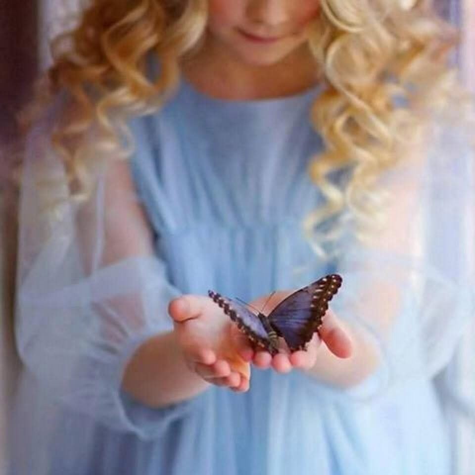 На руку бабочка