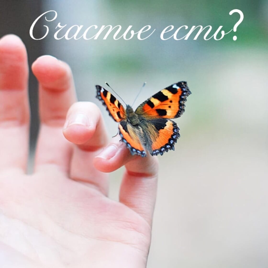 Бабочка сидит на пальце