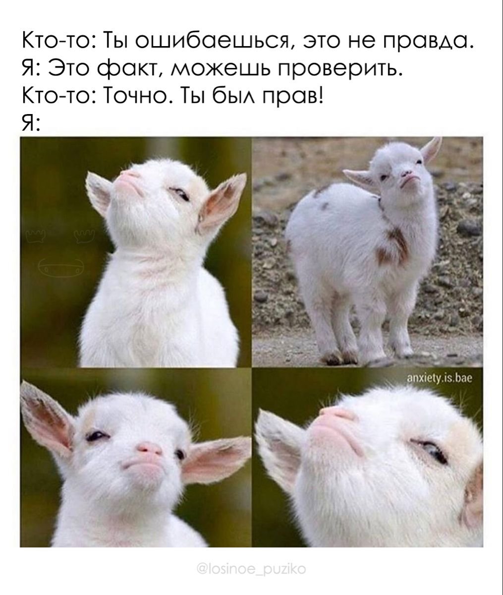 Крутой баран