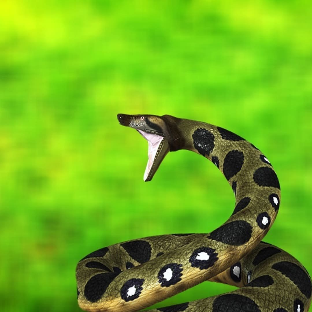 Красивые картинки змей на заставку