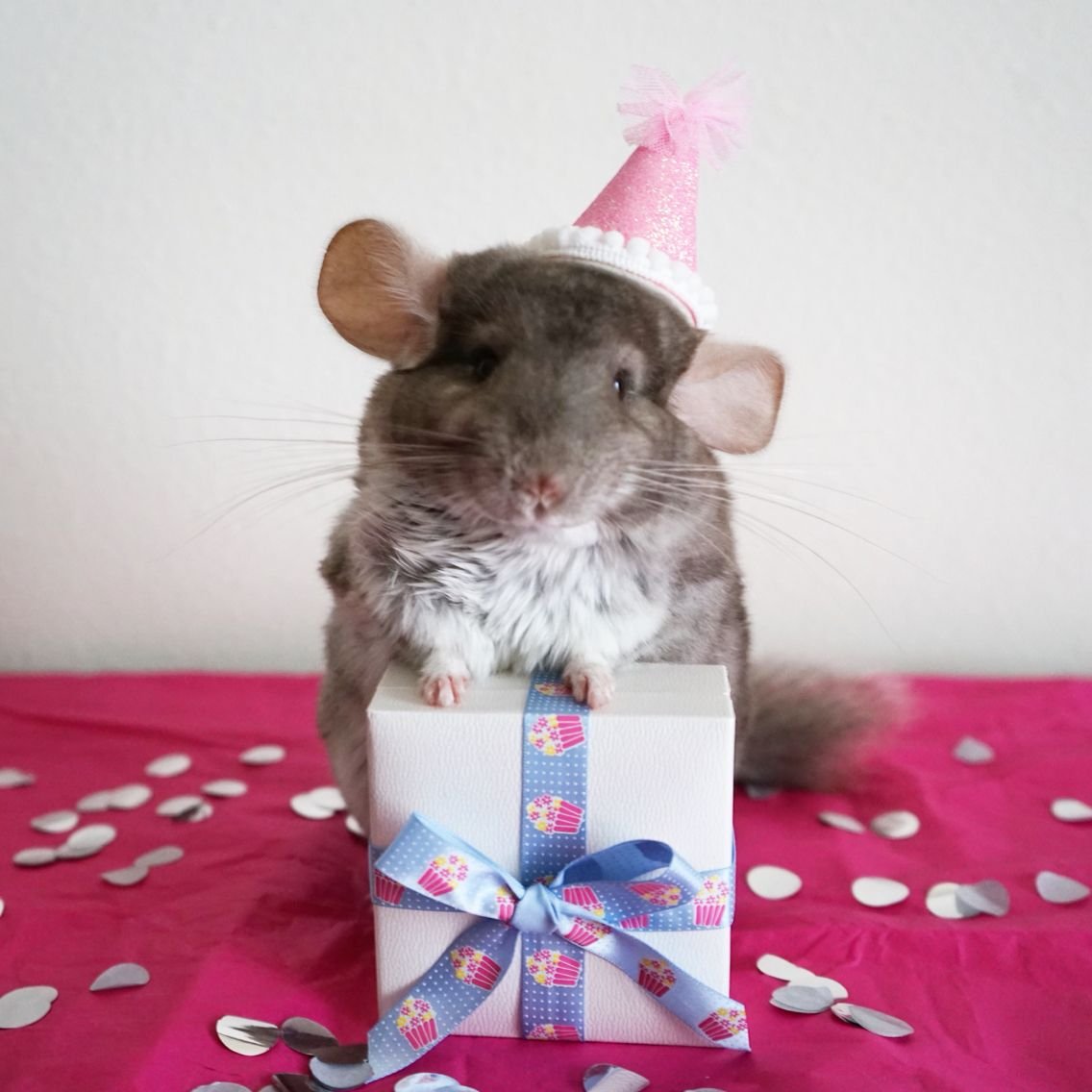 Тортик с крысами