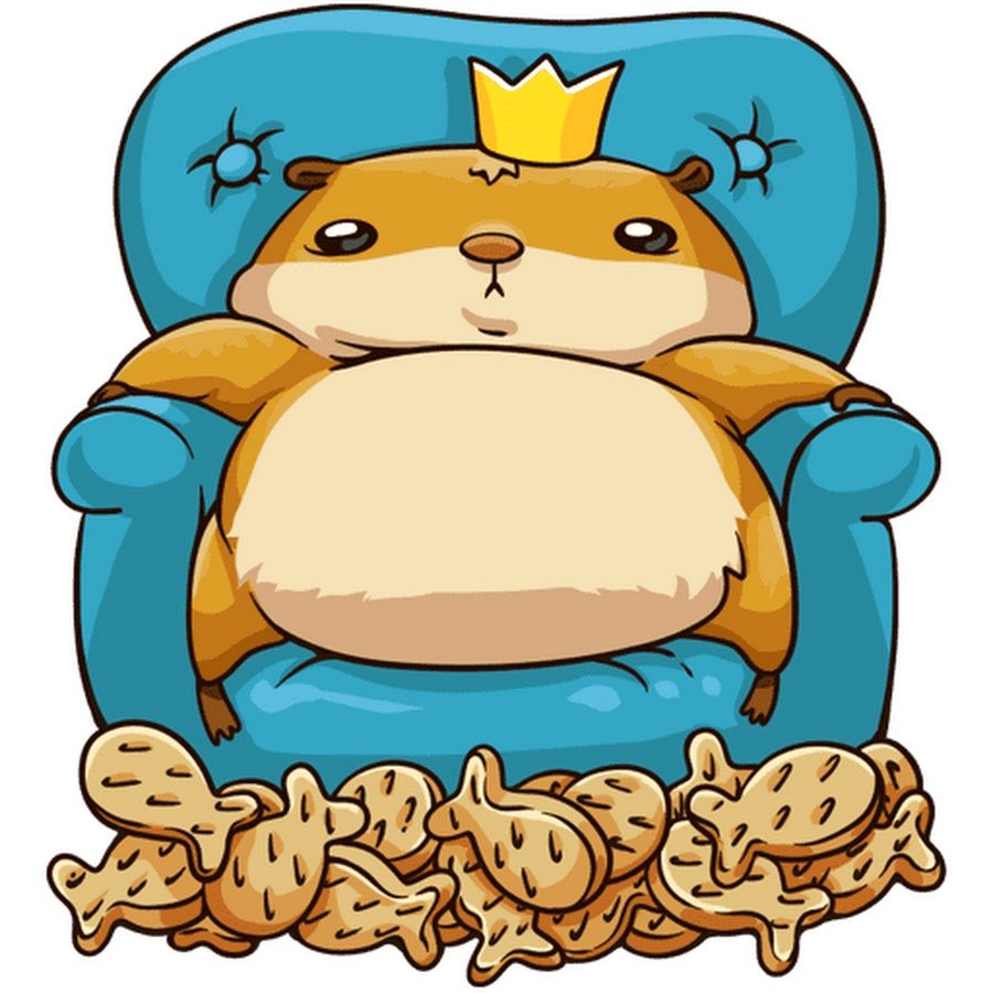 Морская Свинка мордочка