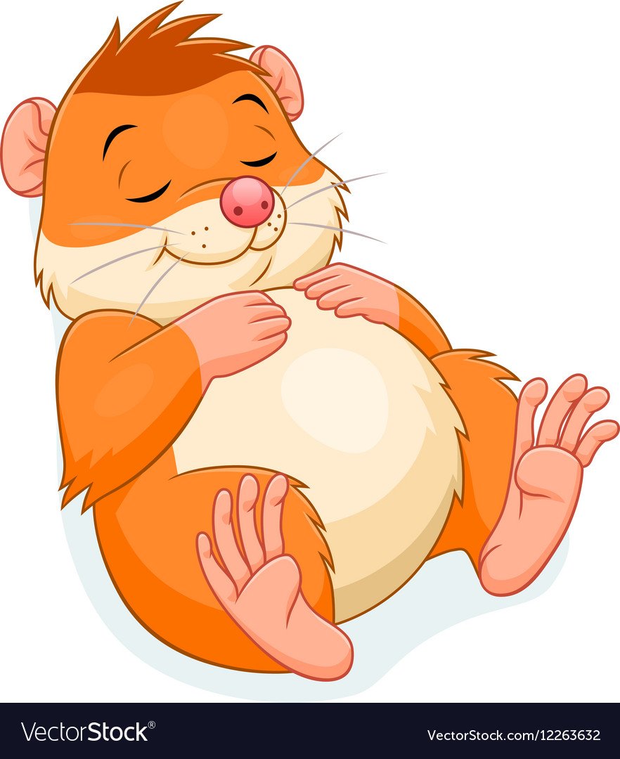 Хомяки приколы