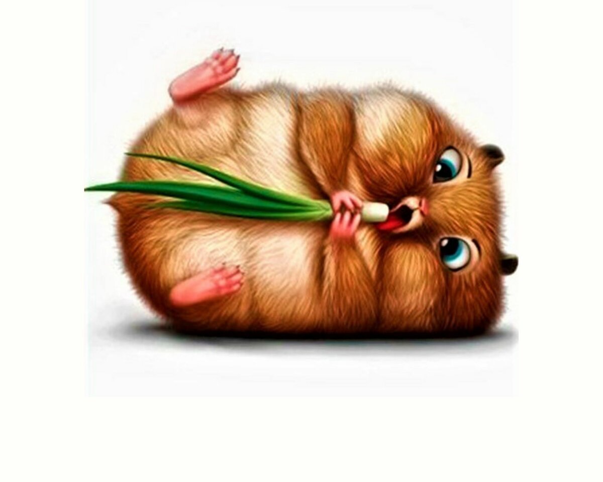 Белый хомячок спит