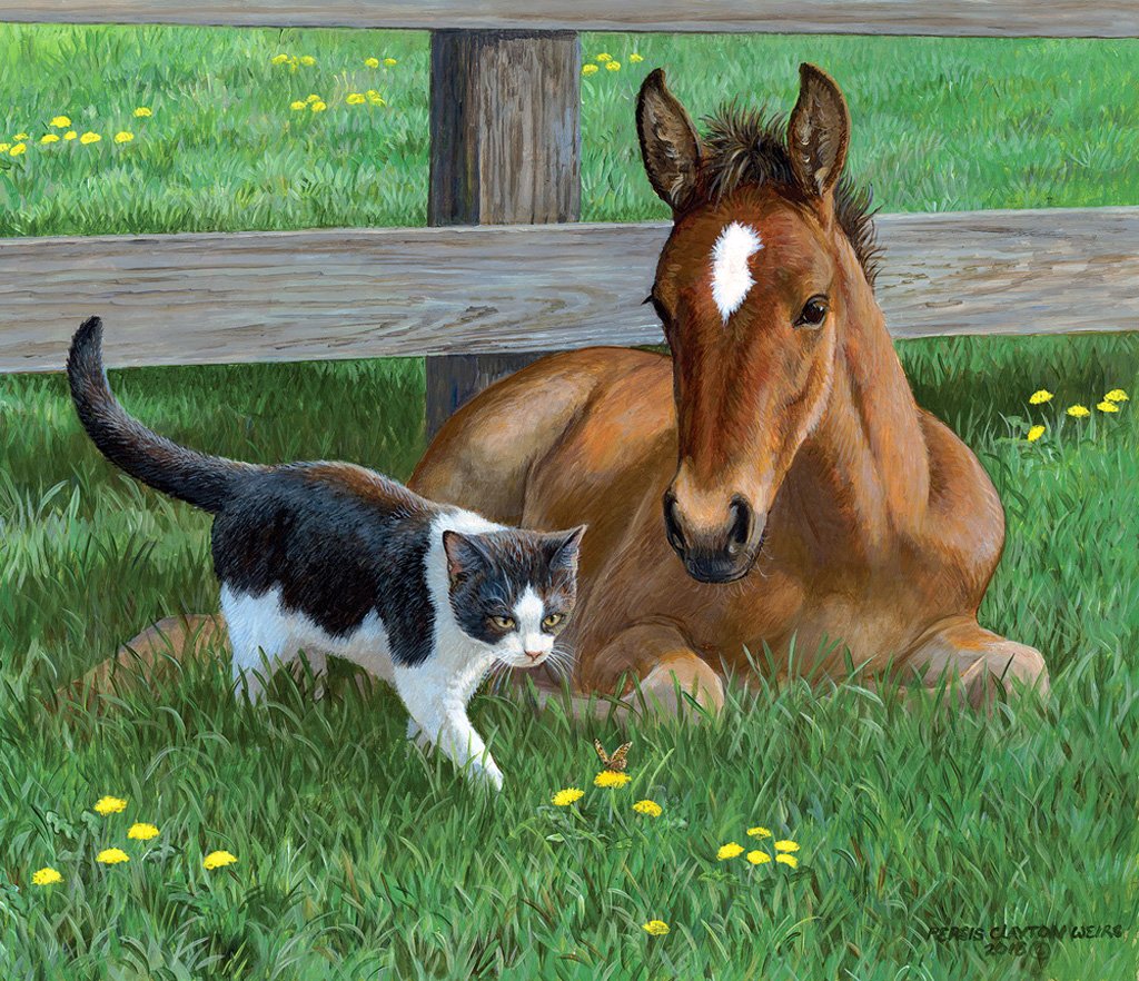 Персис Клейтон Вейерс картины лошадей