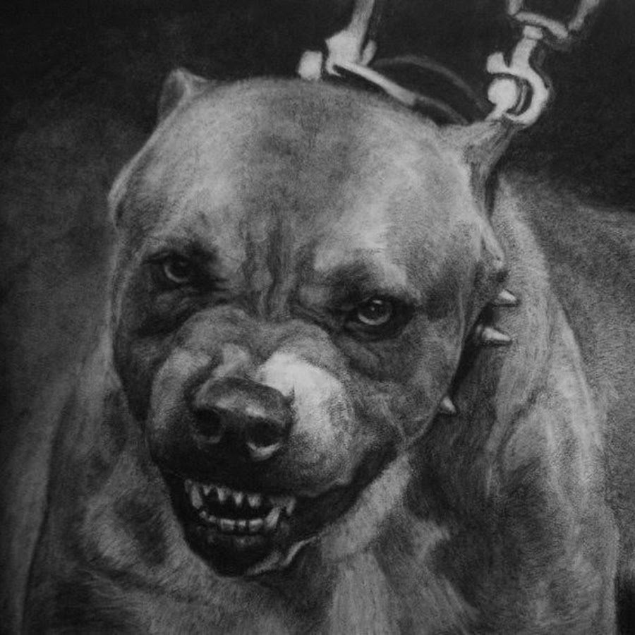 Американский стаффордширский терьер улыбка