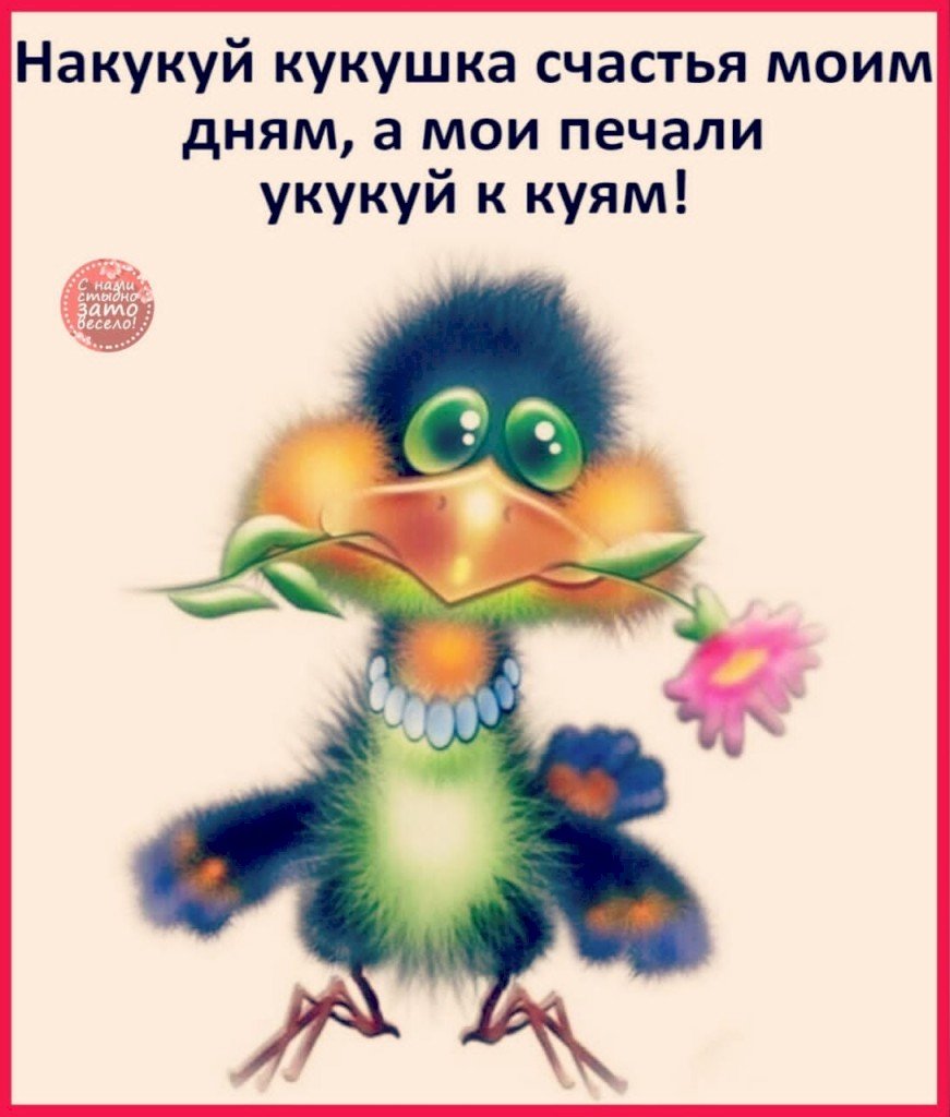 Галчонок с днюхой