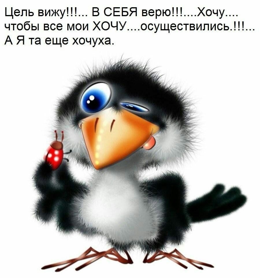 Смешные мультяшные птицы