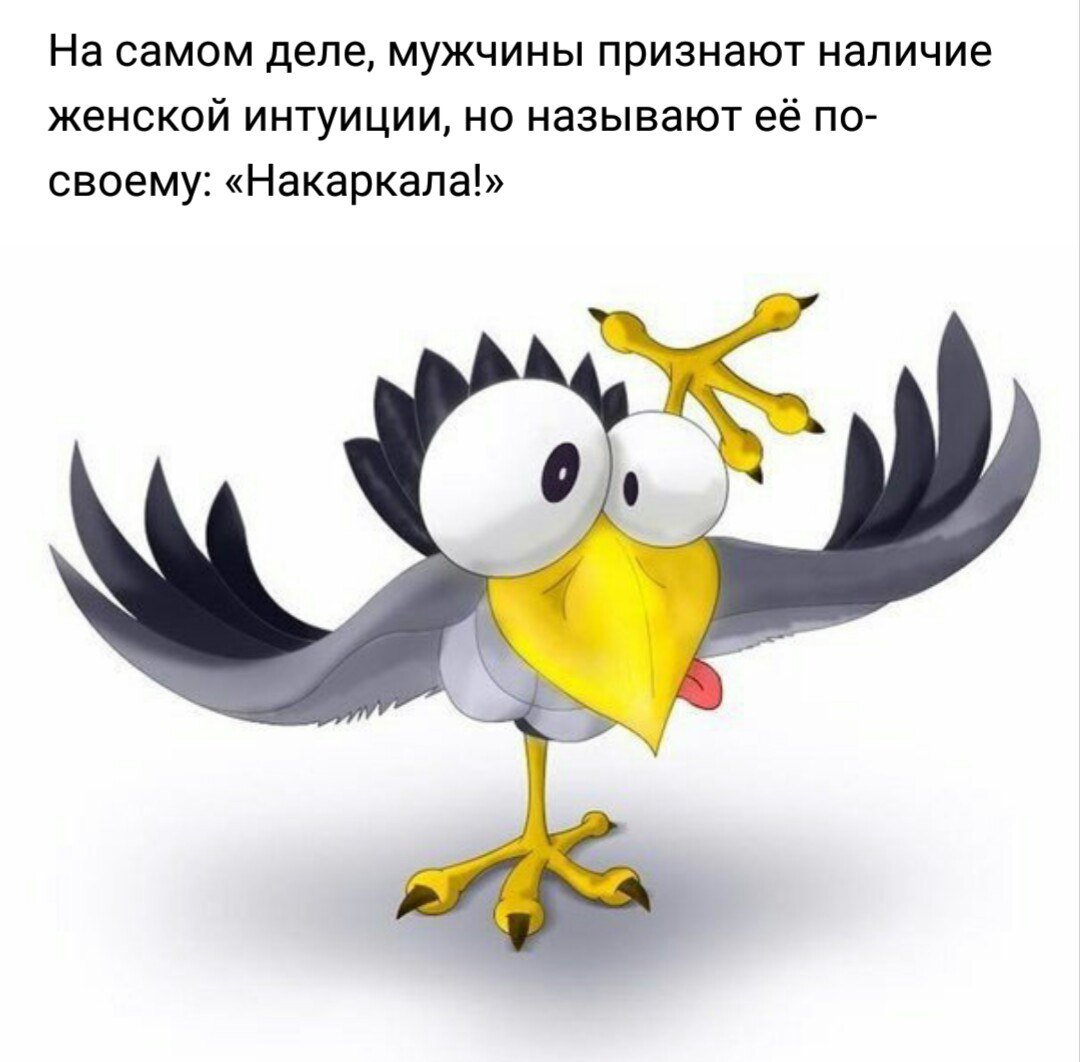 Смешные мультяшные птички