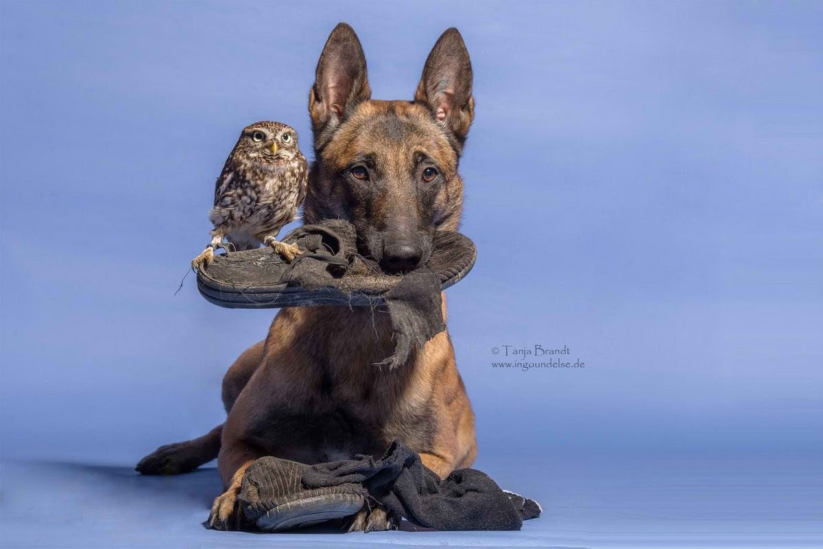Tanja Brandt