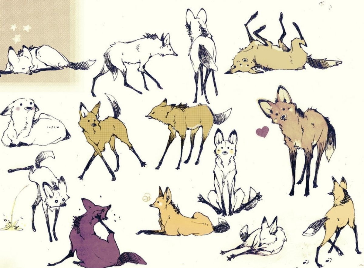 Позы для рисования животных