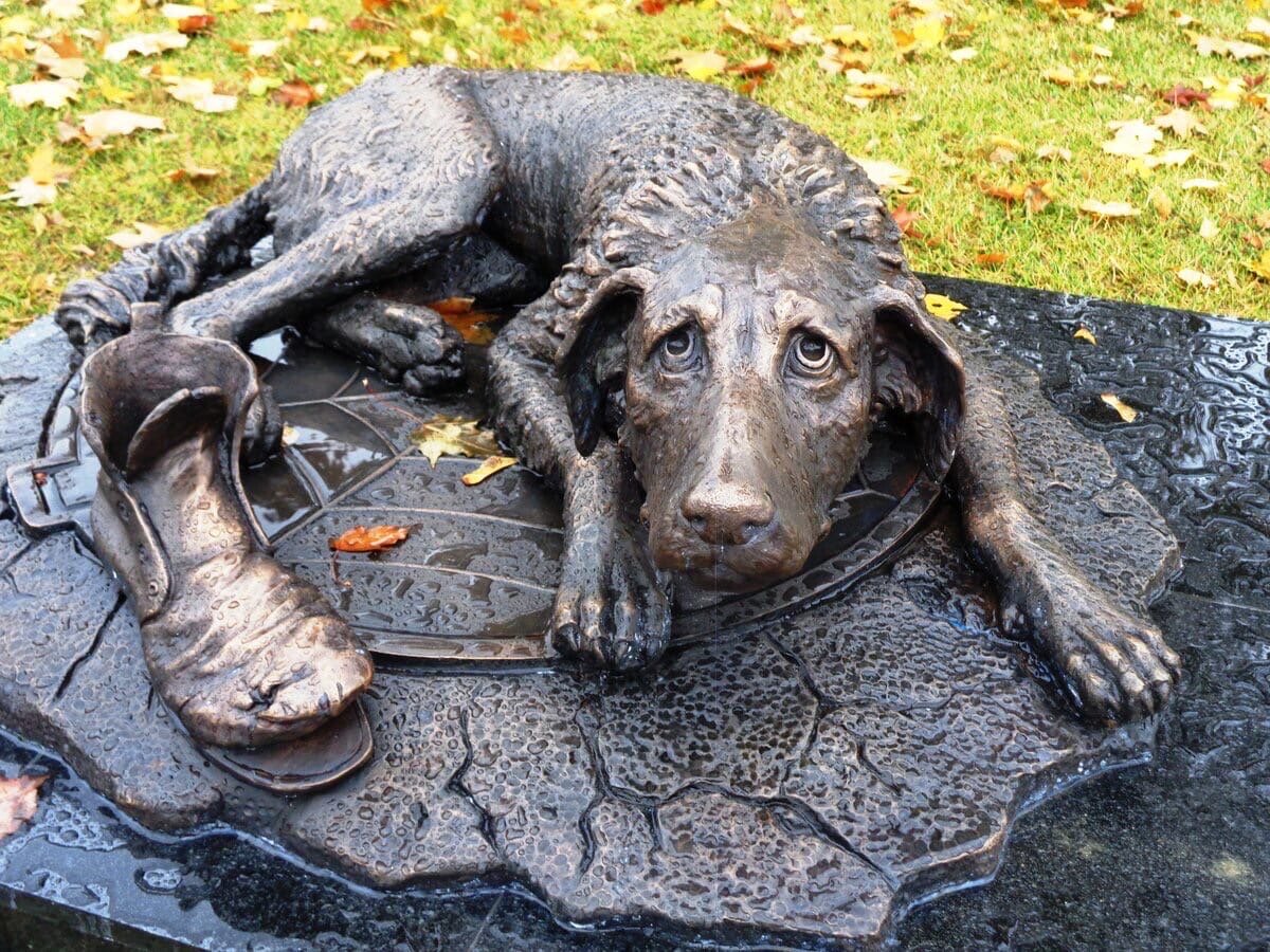 Доберман оффник