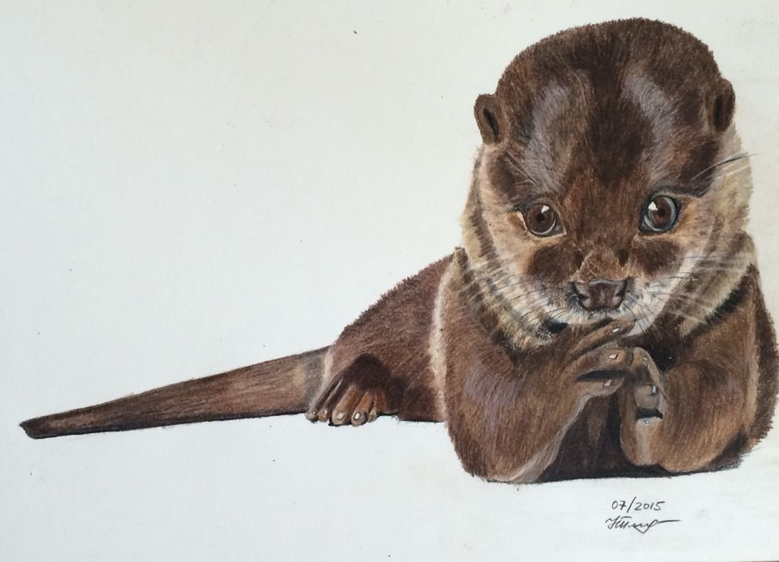 Злая выдра арт