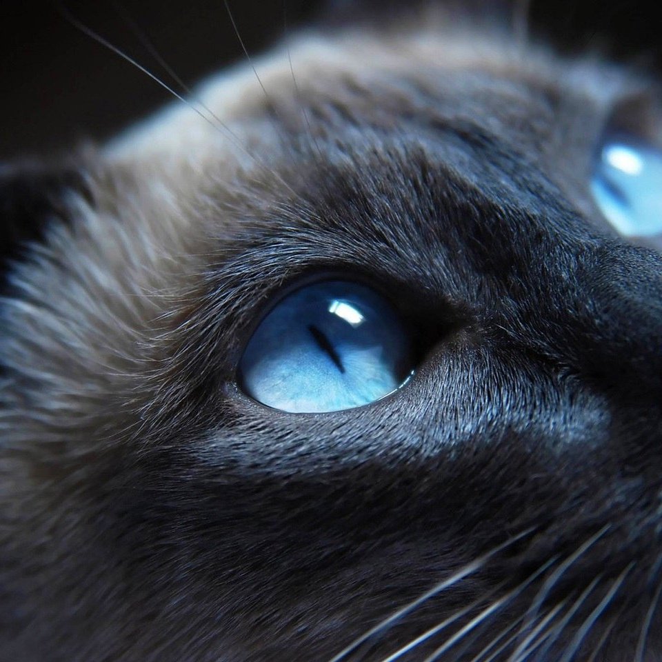 Кошачий глаз