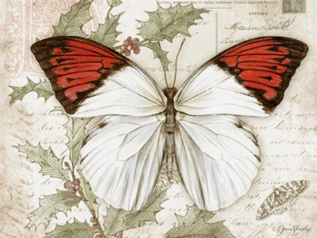 Оливковая ЭКОФОРА бабочка