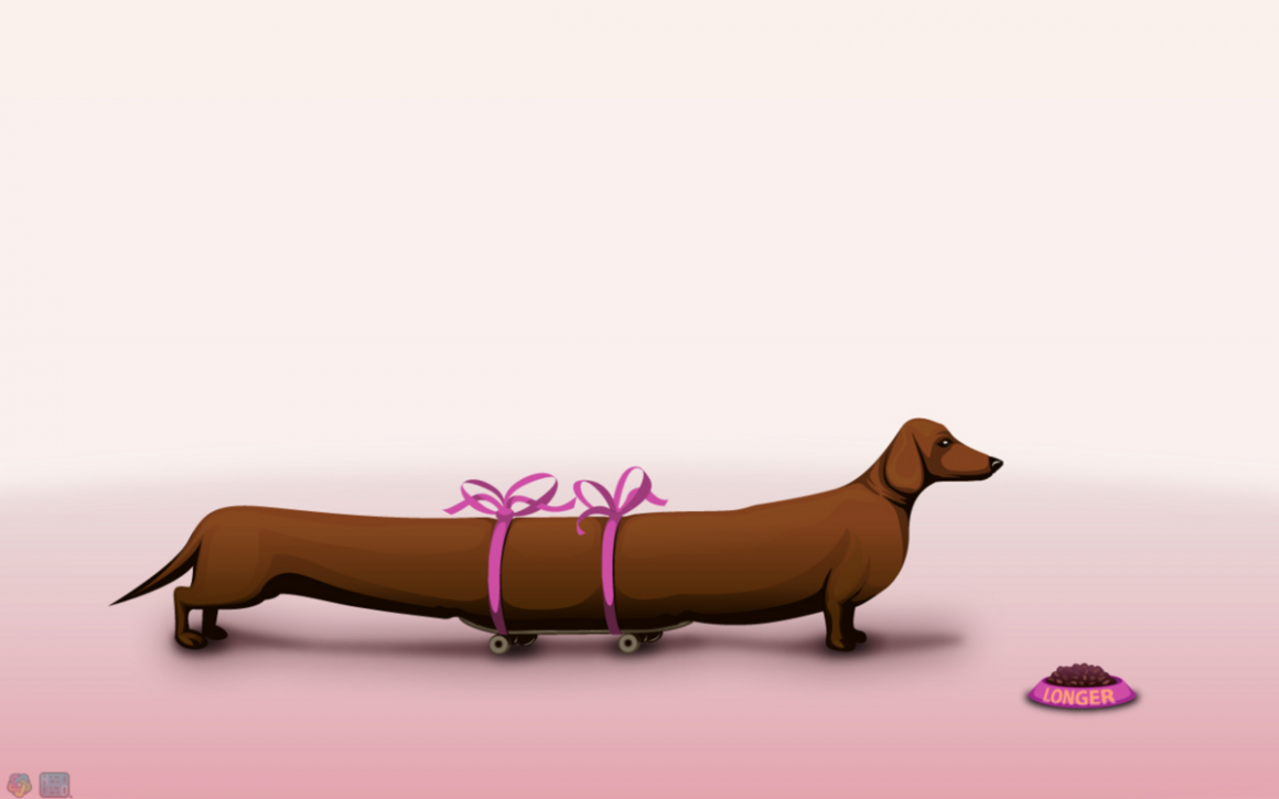 Кошка или собака