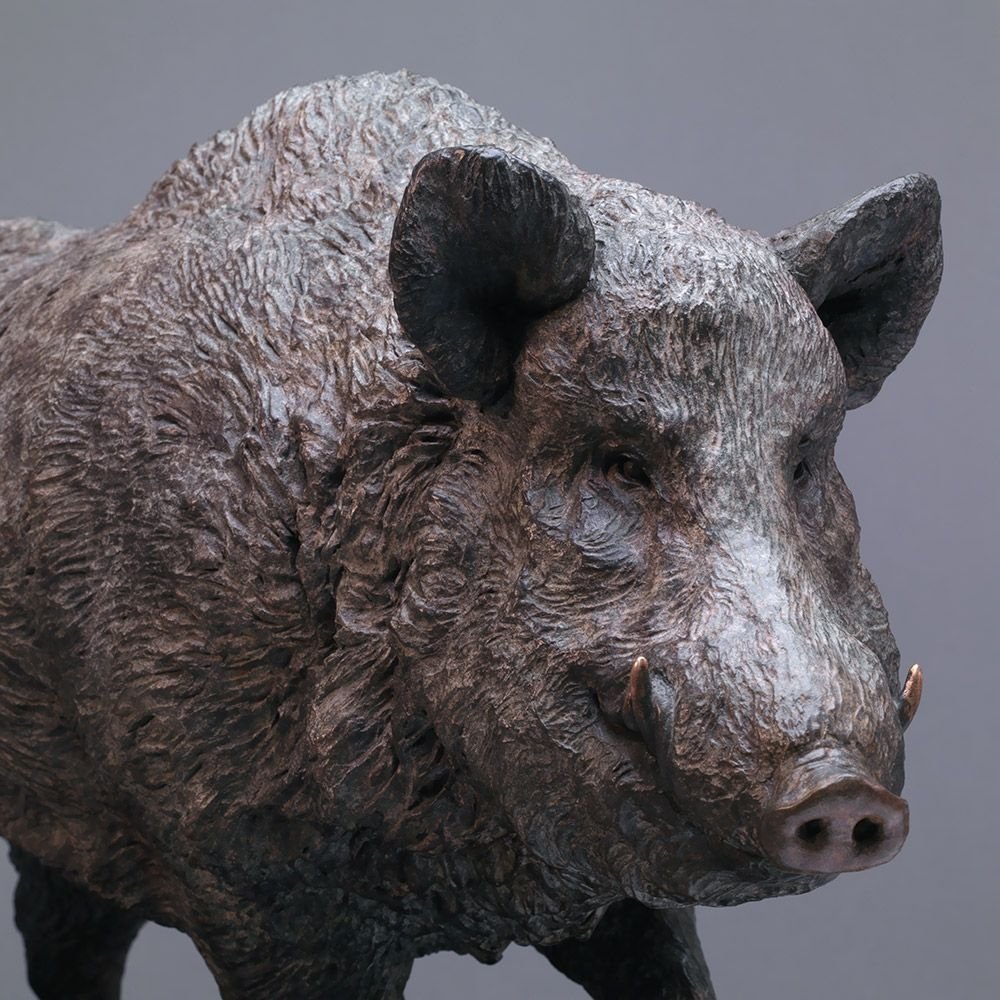 Голова кабана