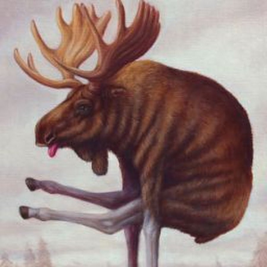 Удивлённый Лось