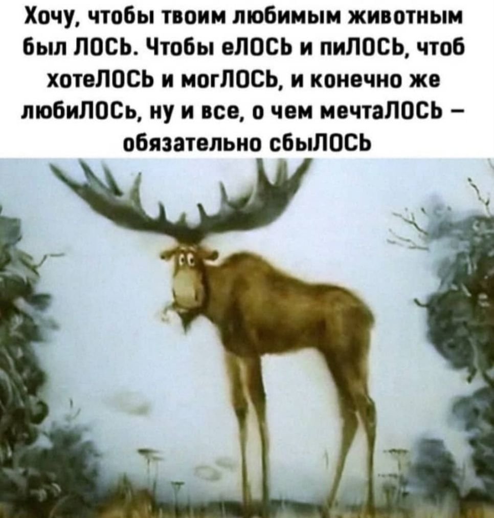 Хочу чтобы вашим любимым животным был Лось
