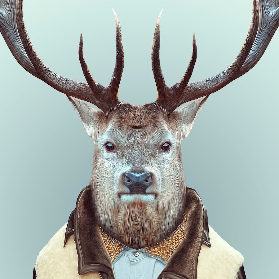 Миа Бойко олень