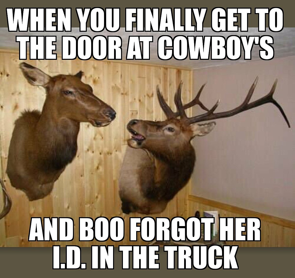 Два оленя прикол