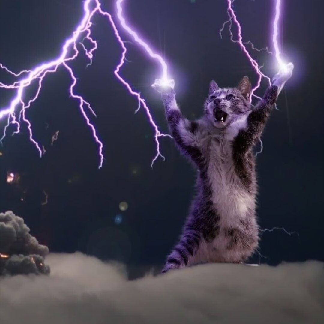 Кот с молниями из лап