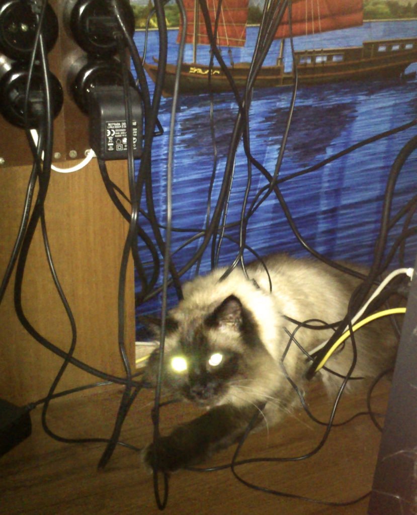 Кот и электричество