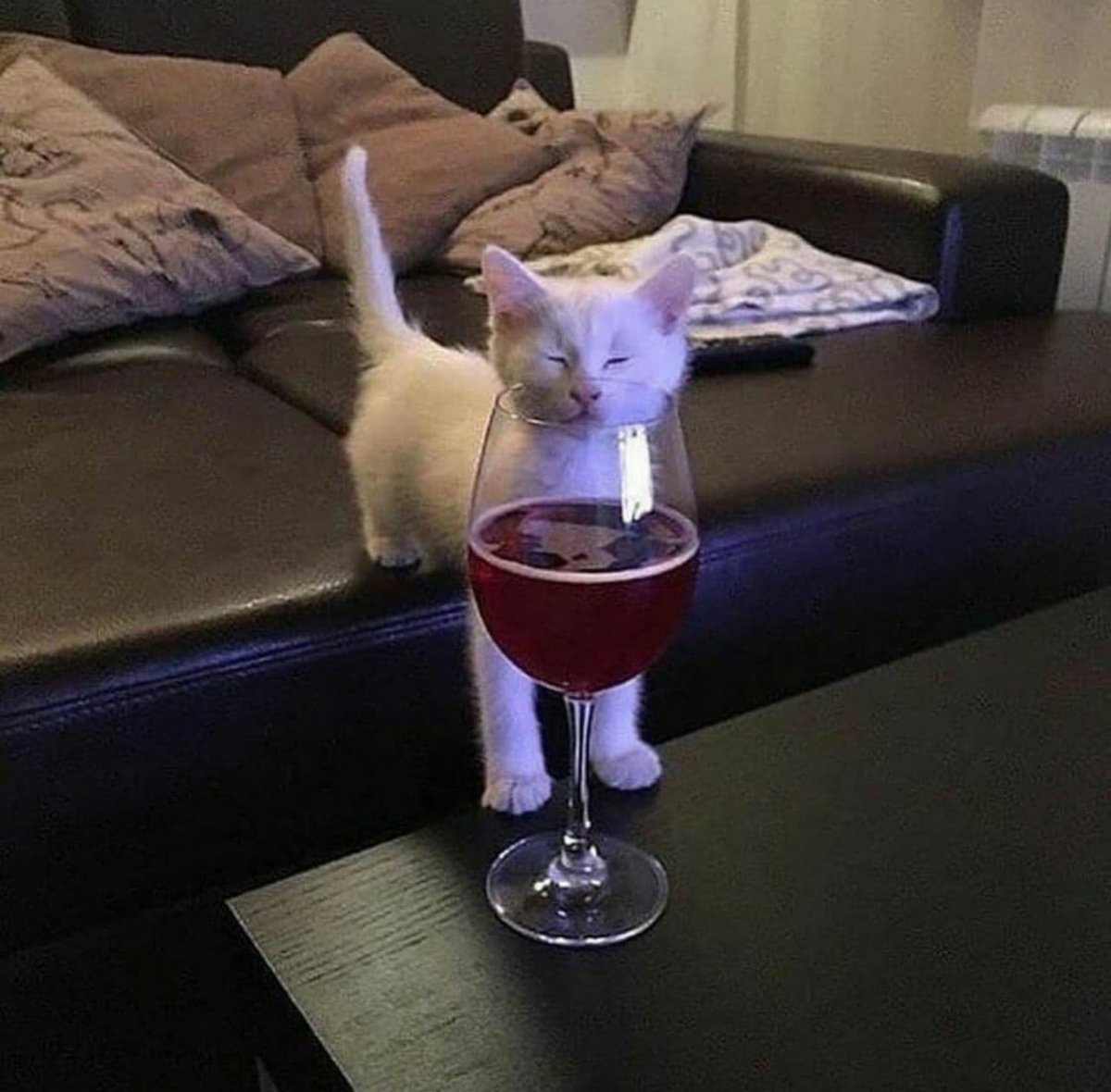 Кошка с бокалом