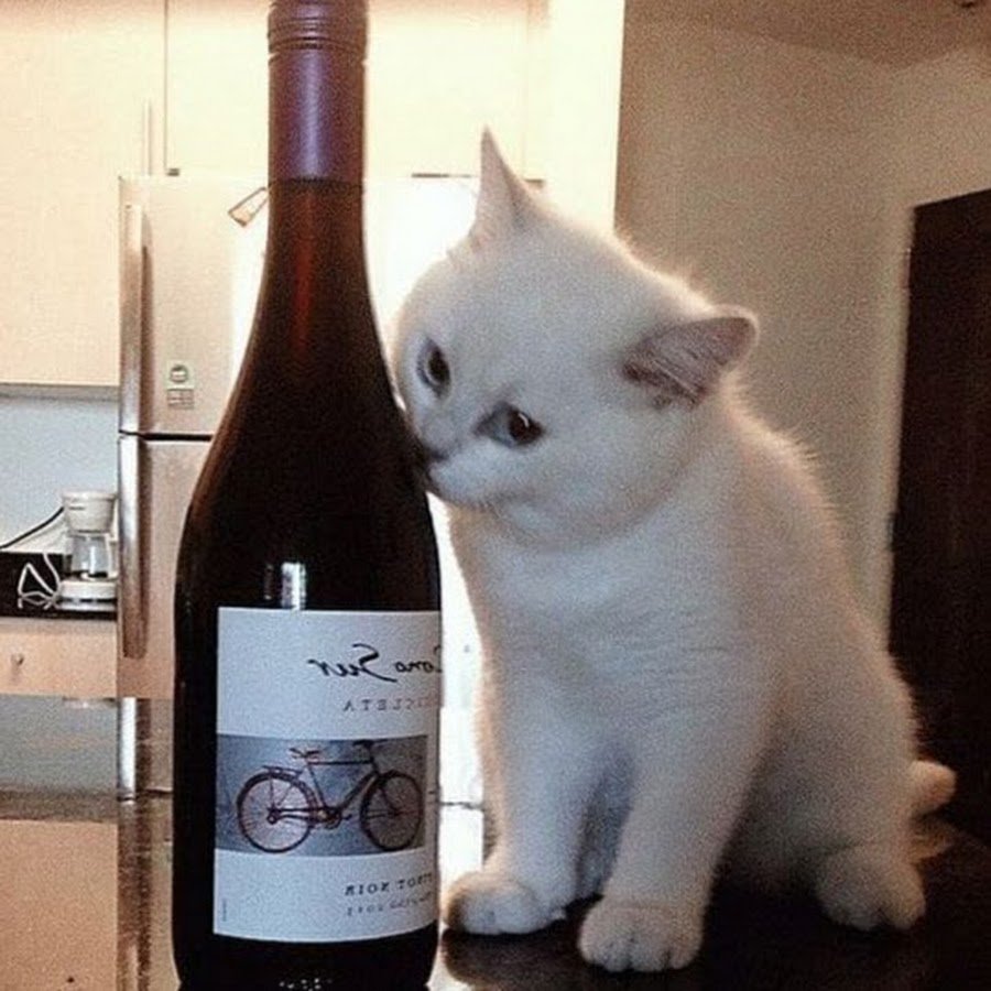 Вино для кошек