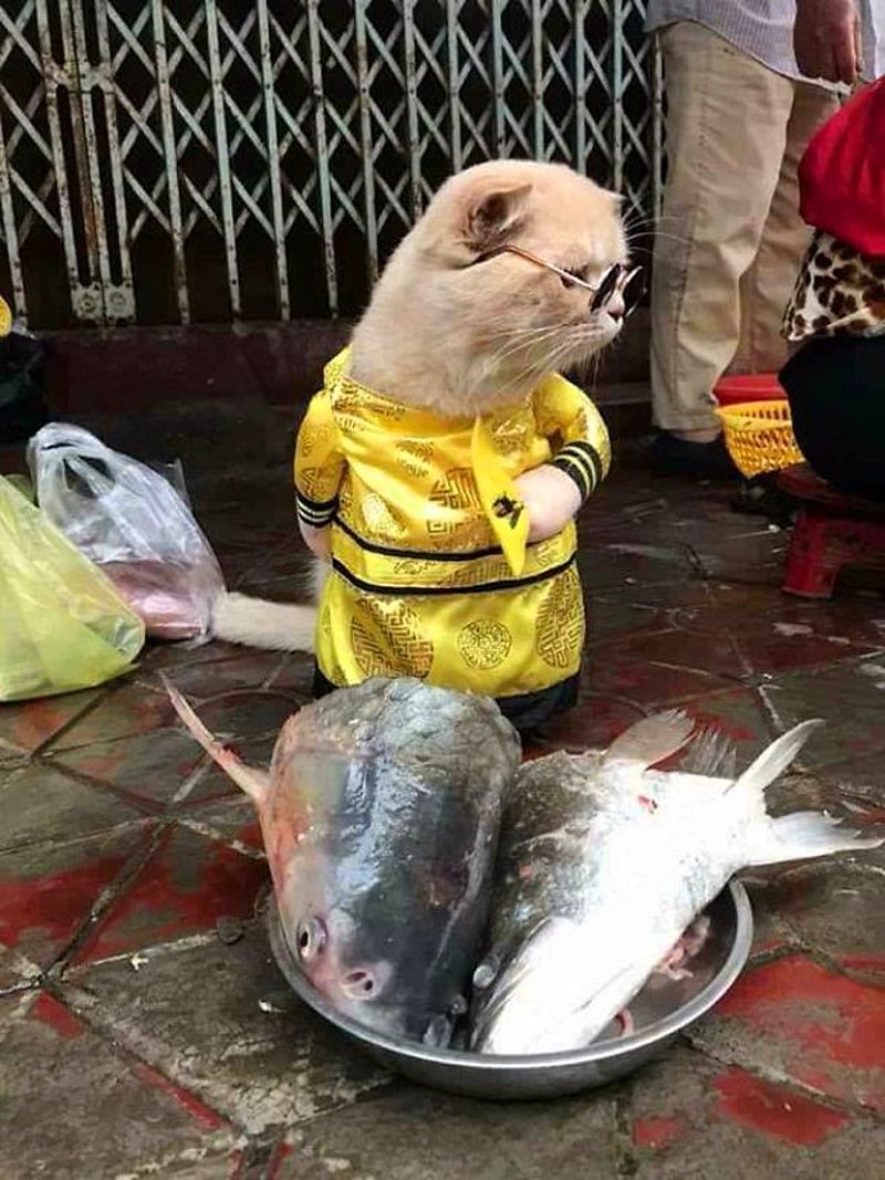 Рыбоводство в Кузбассе