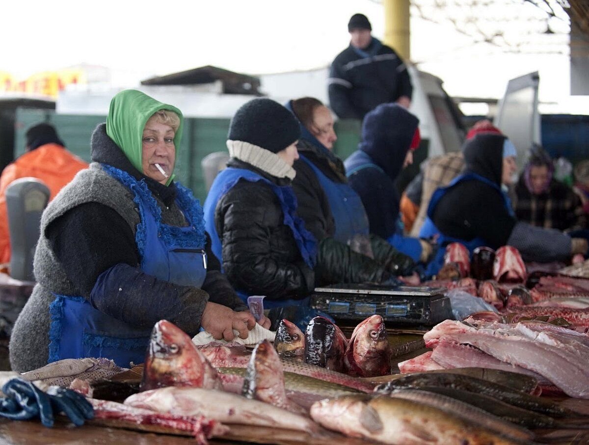 Кот продавец