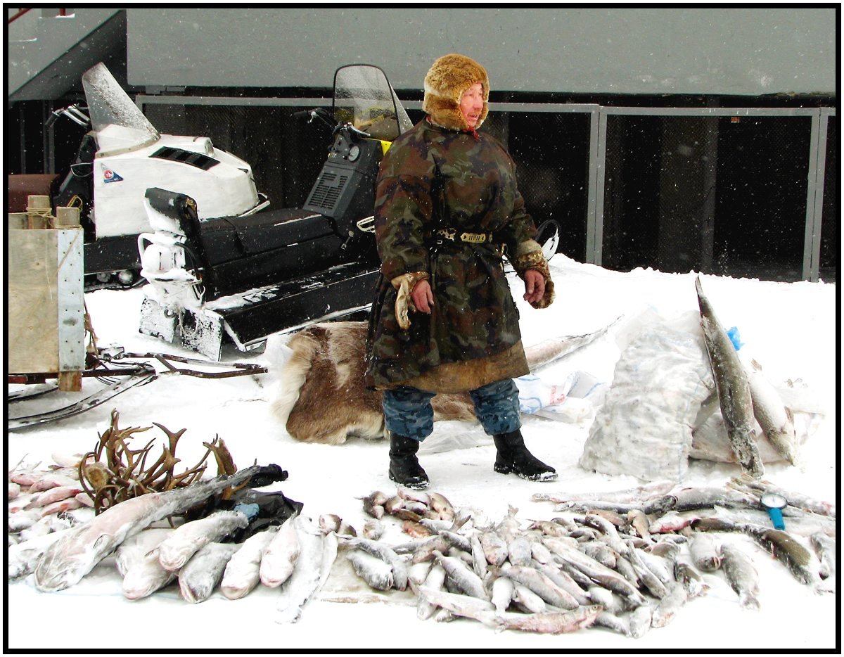 Торговля рыбой