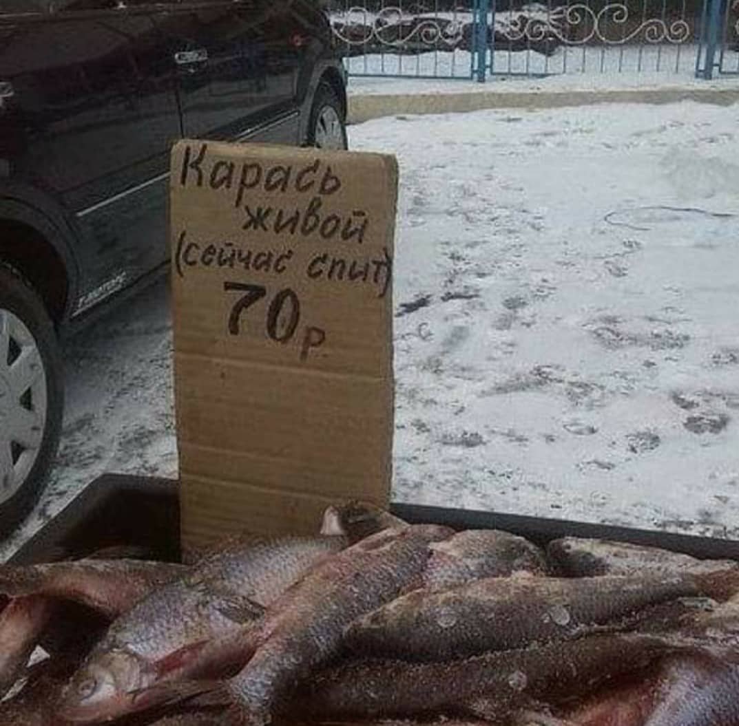 Прилавок рыбного магазина