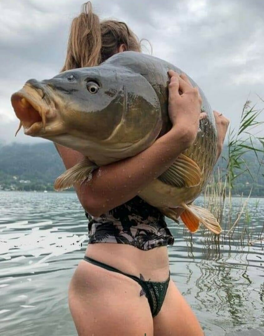 Кот продавец рыбы во Вьетнаме