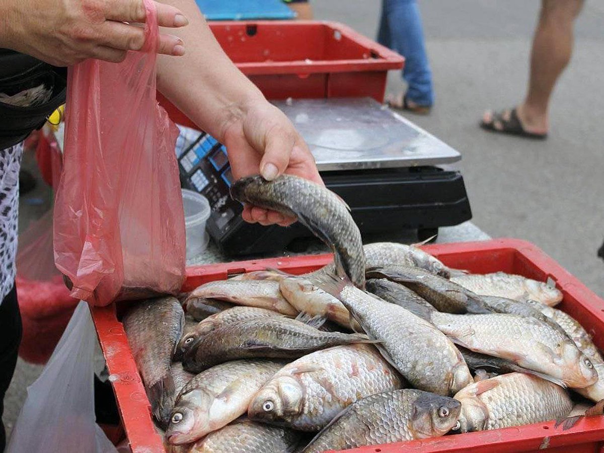 Прикол рыбный магазин