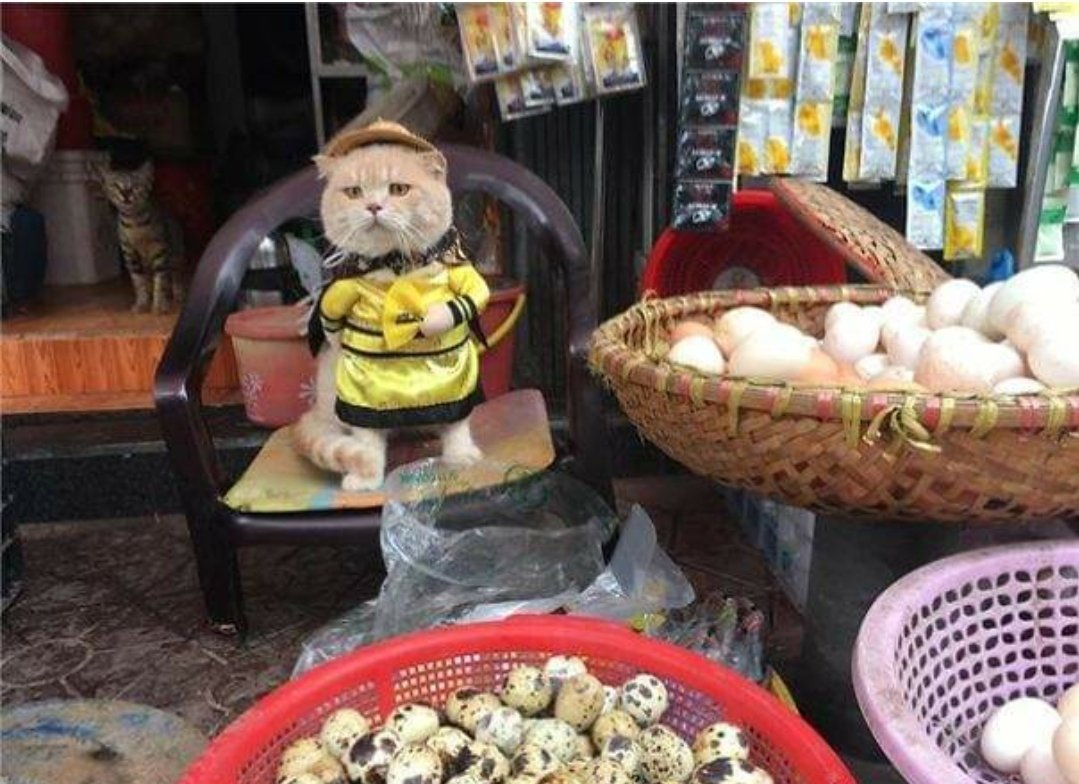 Продавщица рыбы