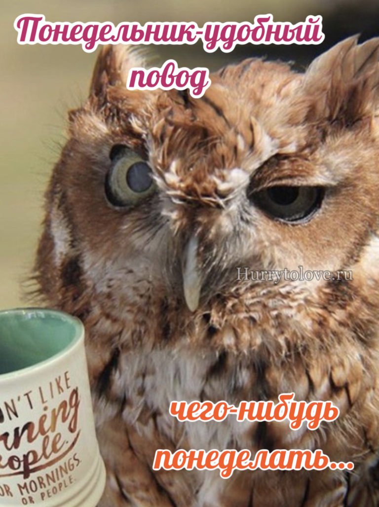 Растрепанный Совенок