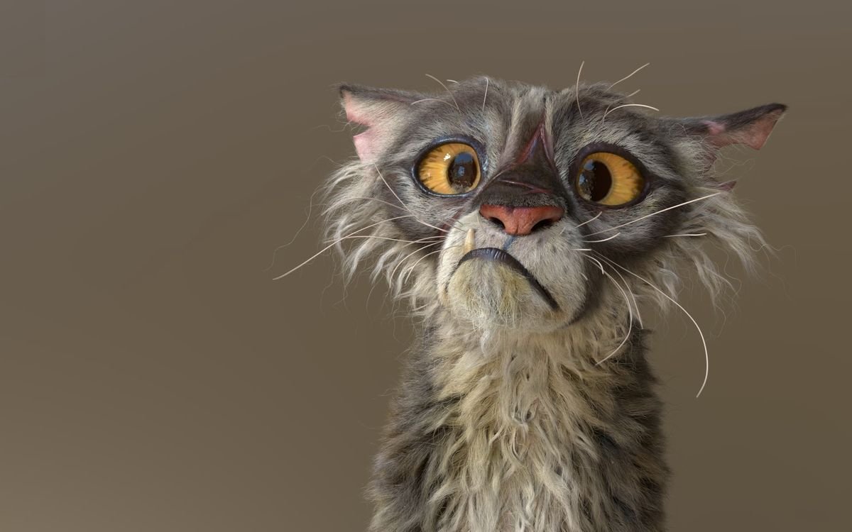 Маленькая Сова сплюшка