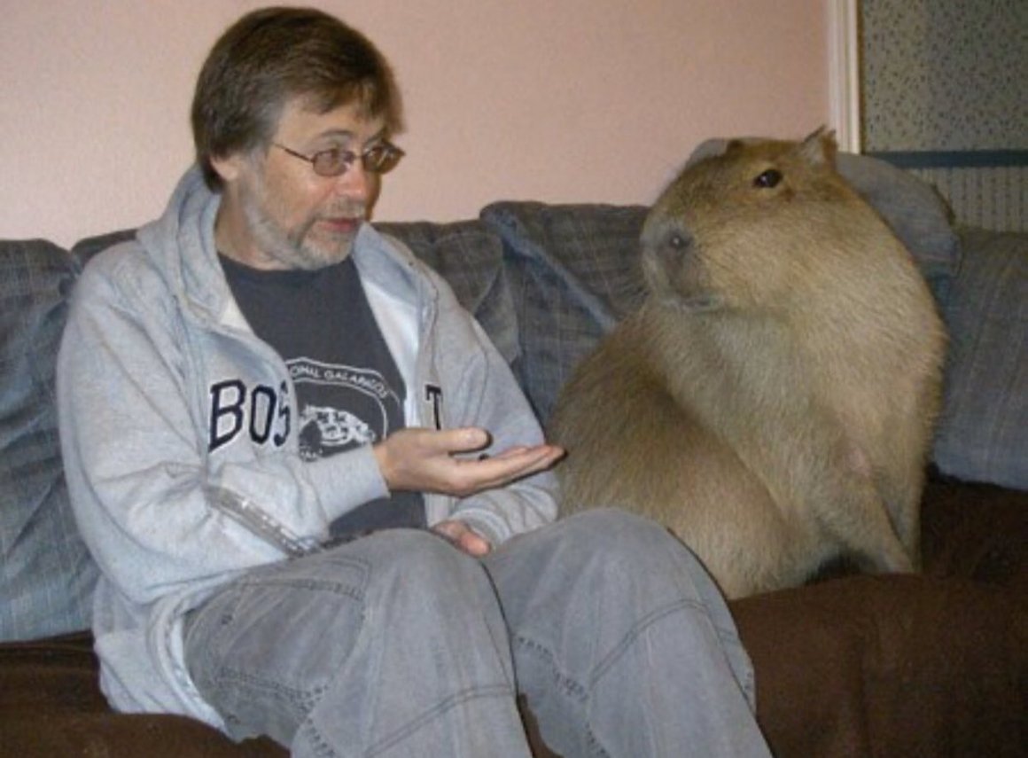 Капибара и морская Свинка