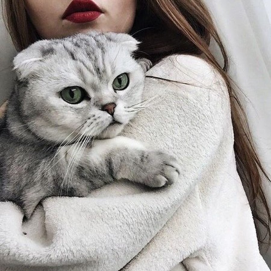 Топовые девушки с котом