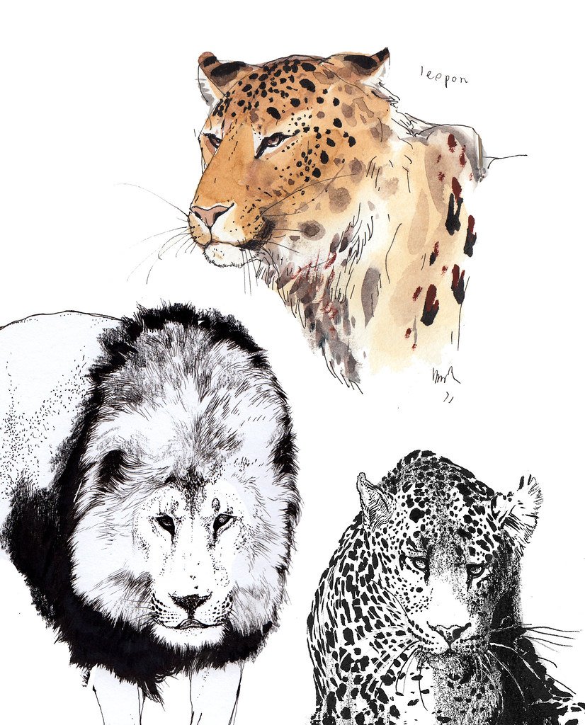 Леопон – гибрид леопарда и Льва