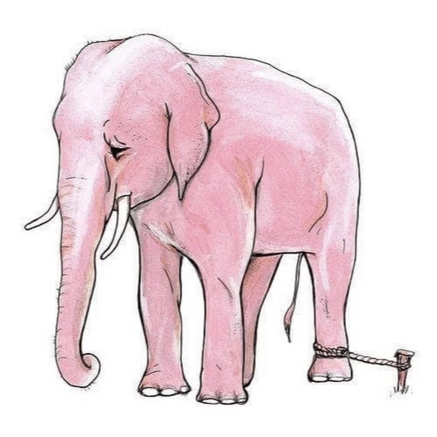 Слоненок на веревочке