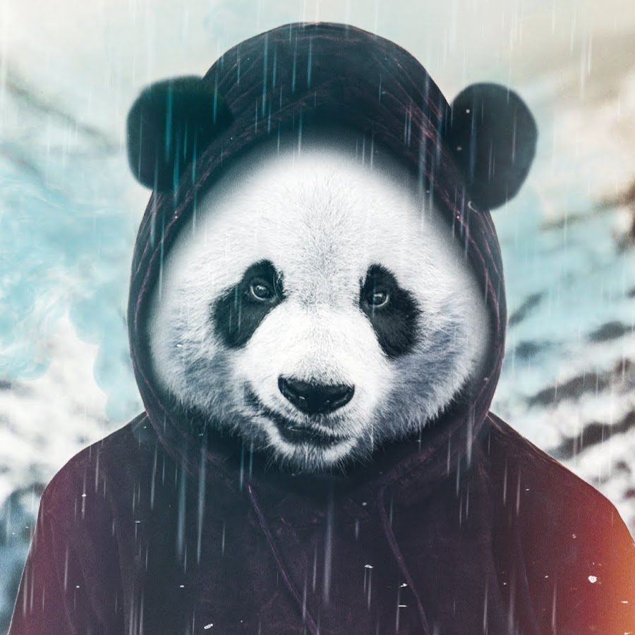 Милая морда панды