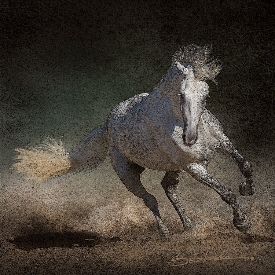 Лошадь на скаку