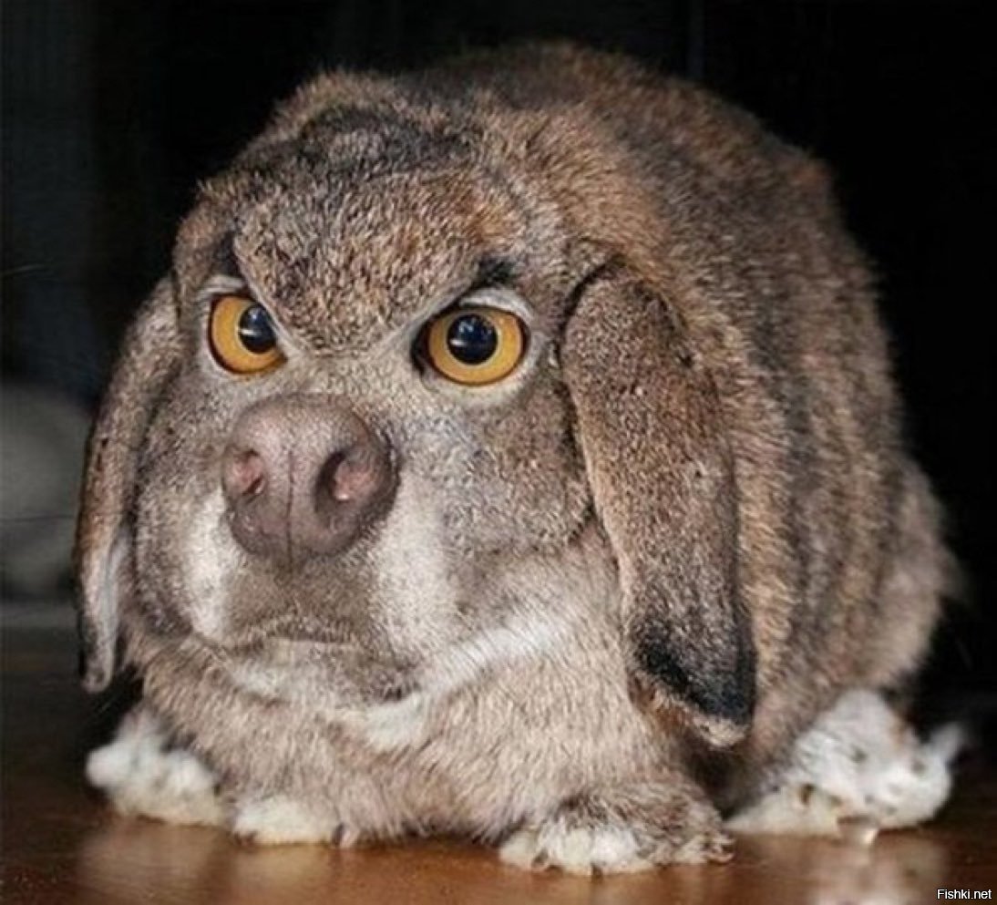 Барьер безопасности спиральный СББ АКЛ-1 750/3/25