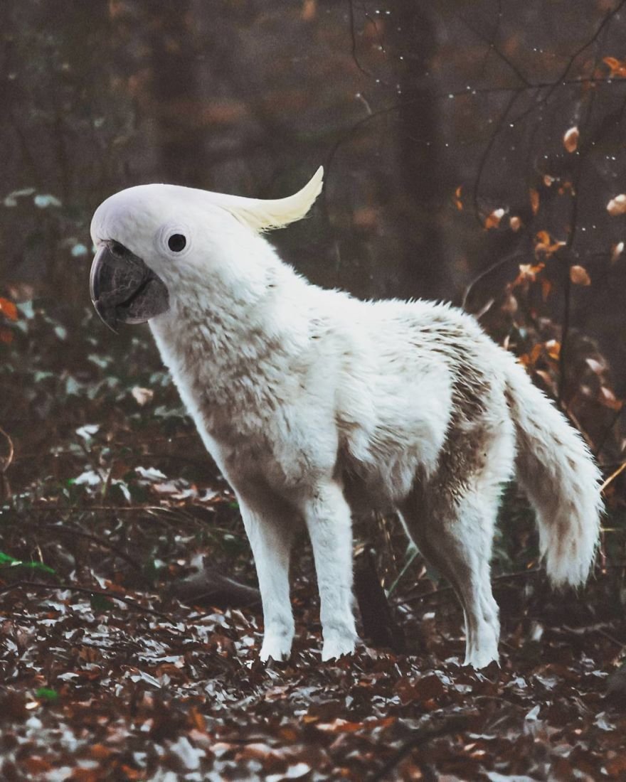 Смилодон прогулки с чудовищами