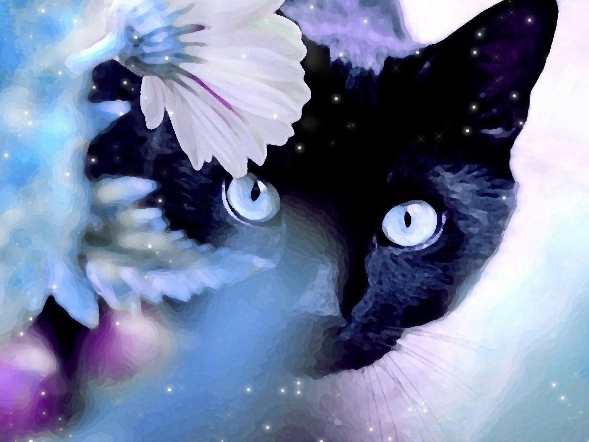 Аватар кошка