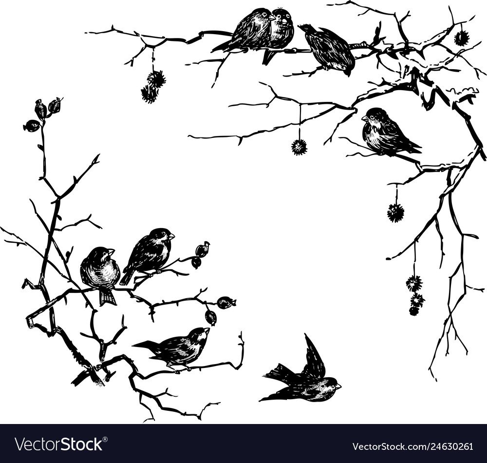 Птичка на ветке Графика